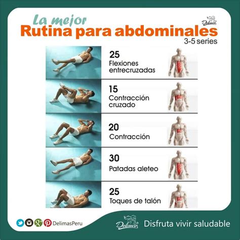 Libro Completo De Los Abdominales Spanish Edition