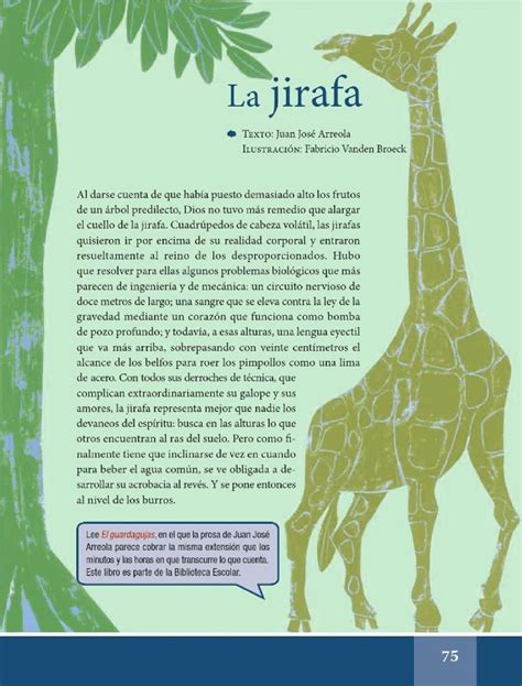 Libro De Lecturas 6 Grado