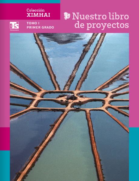 Libro De Proyectos