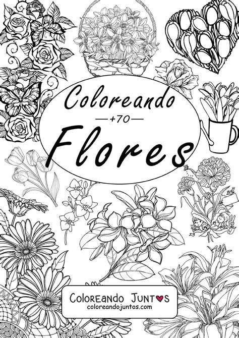 Libro Para Colorear Pdf