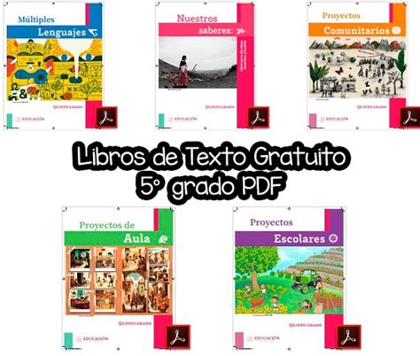 Libros De Texto 5 Grado