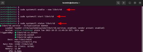 libvirtd unrecognized service ubuntu