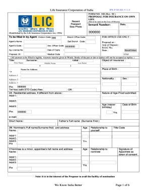 Lic Form 300