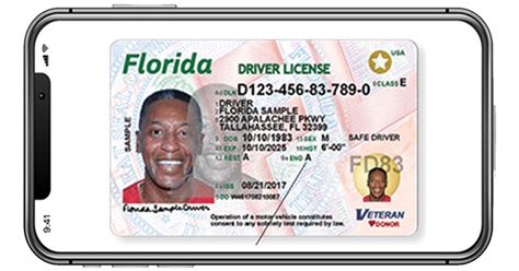 licence verification florida