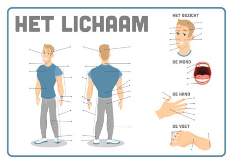 lichaamsdeel naam