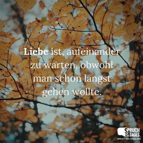 liebe kann warten