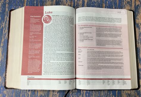 Life Application Study Bible Niv Free Download