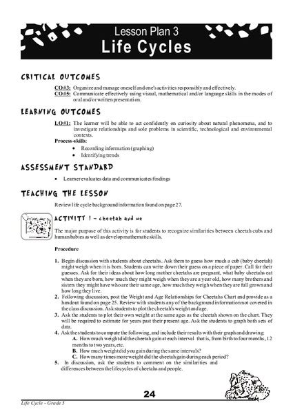 Life Cycle Lesson Plan For Elementary Grades 1 Life Science Elementary - Life Science Elementary