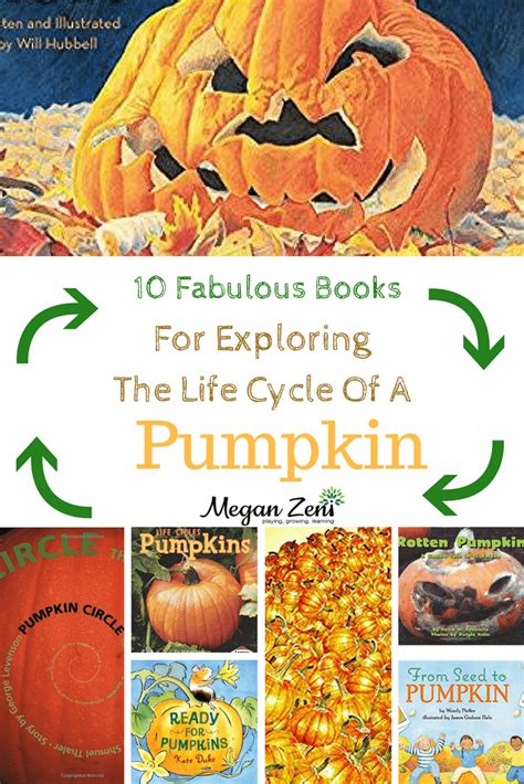 Life Cycle Of A Pumpkin Book Pumpkin Life Cycle For Kids - Pumpkin Life Cycle For Kids