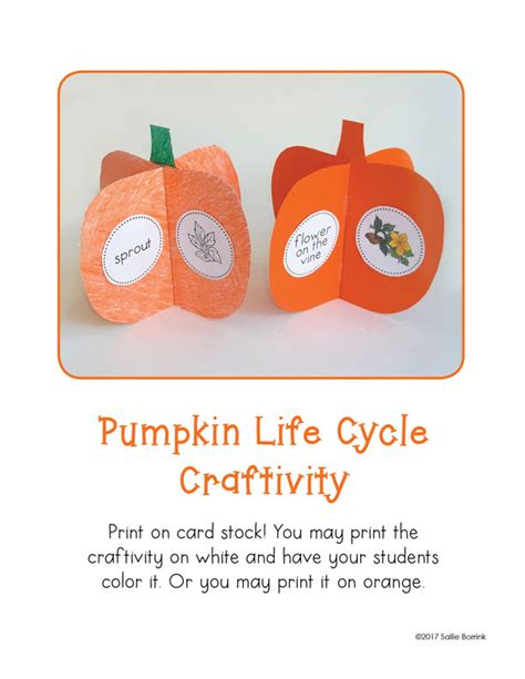 Life Cycle Of A Pumpkin Craftivity Life Of A Pumpkin - Life Of A Pumpkin