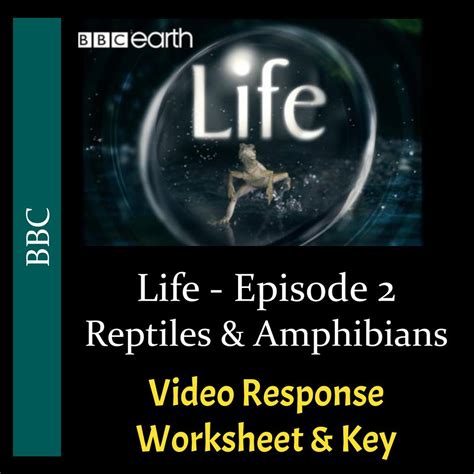 Life Episode 02 Reptiles And Amphibians Video Response Life Reptiles And Amphibians Worksheet - Life Reptiles And Amphibians Worksheet