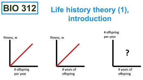 life history theory definition