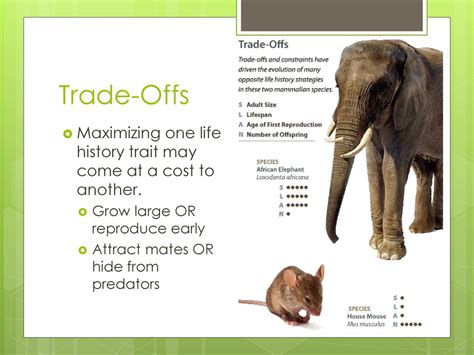 life history trait definition