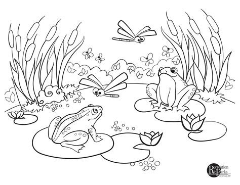 Life In A Pond Coloring Page Free Printable Pond Life Coloring Page - Pond Life Coloring Page