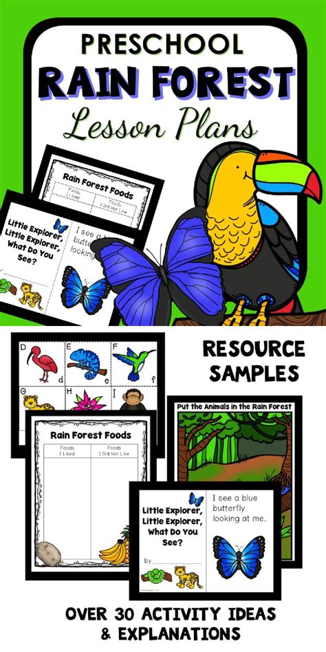 Life In The Rainforest Lesson Plan For 3rd Rainforest Lesson Plans For 3rd Grade - Rainforest Lesson Plans For 3rd Grade