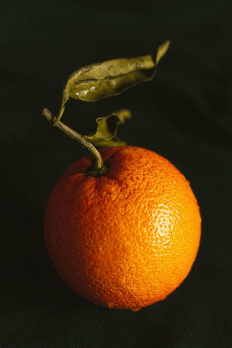 Life Is Orange