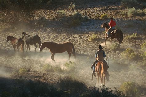 Life Lessons From A Ranch Horse With A New Afterw
