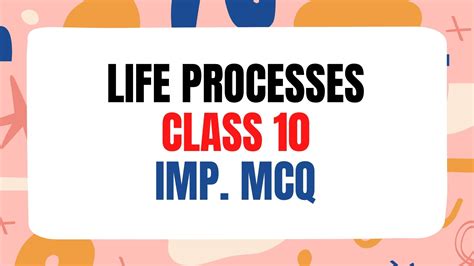 Life Processes Class 10 Mcq Online Test