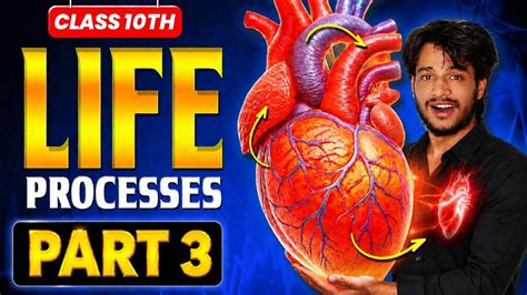 Life Processes Class 10 Pdf