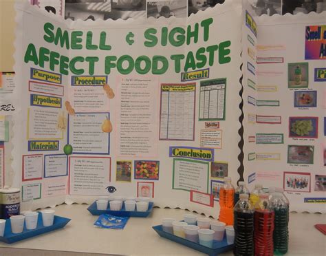 Life Science Amp Biology Science Fair Projects Science Life Science Ideas - Life Science Ideas