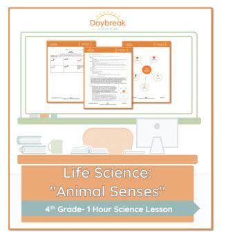 Life Science Animal Senses Daybreak Lessons Life Science Animals - Life Science Animals