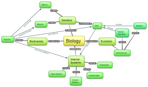 Life Science B Concept Map Worms