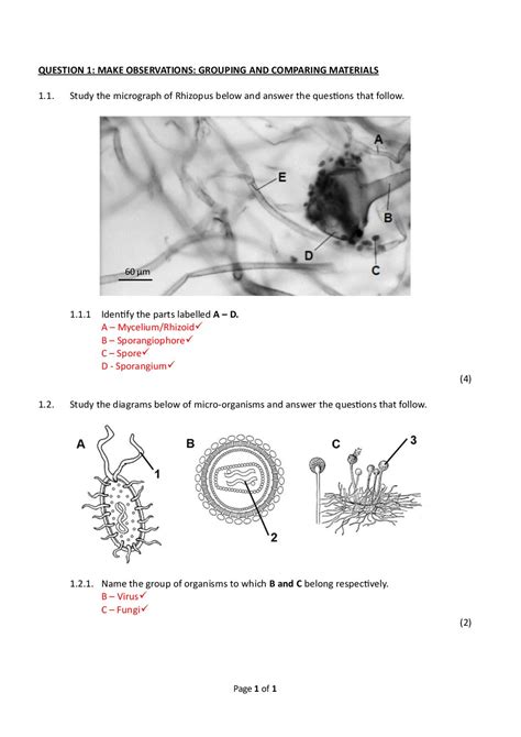 Life Science Grade 11 Practical November Tenpayore