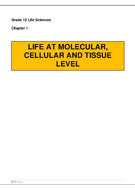 Life Science Grade 12 Assignment Evolution
