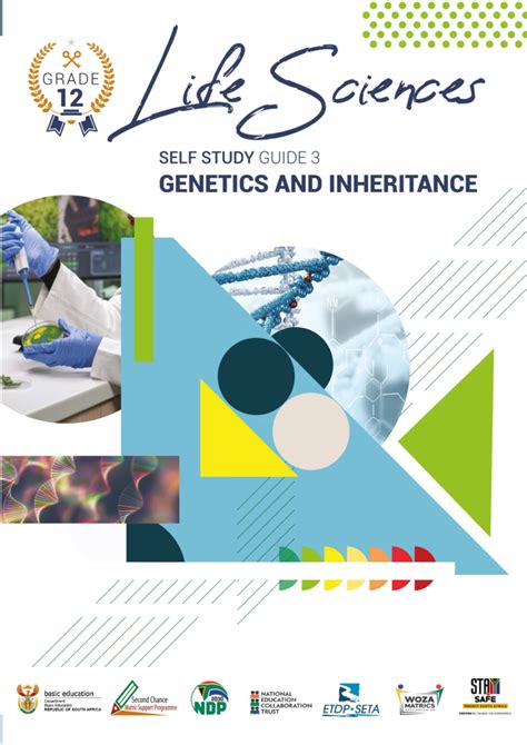 life science grade12 term 2 work