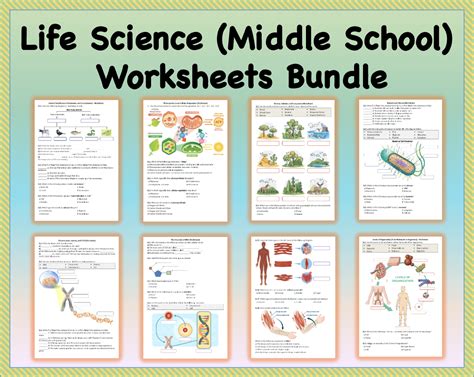 Life Science Middle School Worksheets Bundle Tpt Life Science Worksheets Middle School - Life Science Worksheets Middle School