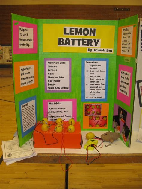 Life Science Project Ideas Nature Study Home Science Life Science Experiments - Life Science Experiments