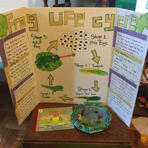 Life Science Projects Study Com Life Science Experiments - Life Science Experiments