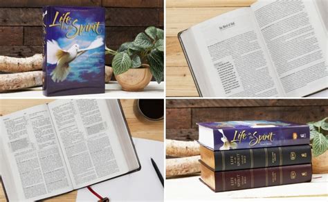 Read Life In The Spirit Study Bible Kjv By Zondervan Bibles 
