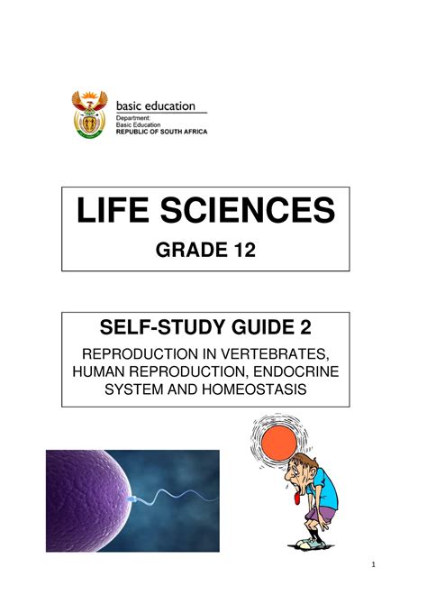 Read Life Orientation Grade 12 Self Study Guide And File Of 