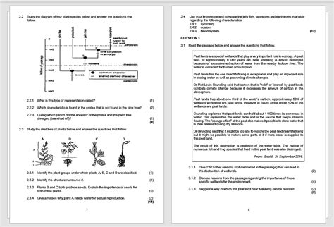 Download Life Sciences Paper 3 Grade 11 Memorandum 