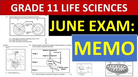 Full Download Lifesciences Paper2 Grade11 June Memo 