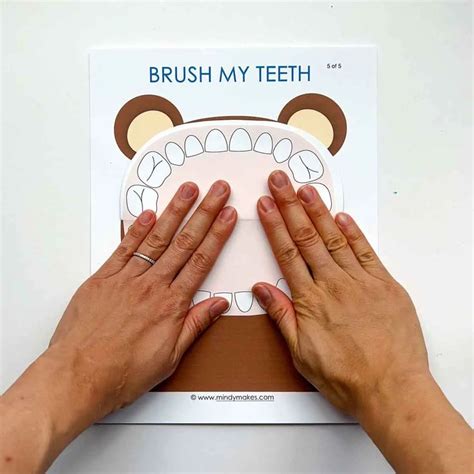 Lift A Flap Tooth Brushing Activity For Preschoolers Teeth Activities For Kindergarten - Teeth Activities For Kindergarten