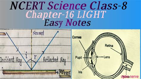 Light Class 8 Notes
