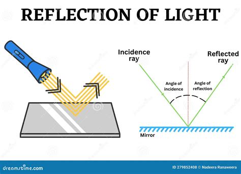 Light Reflection And Mirrors Physics Classroom Answers