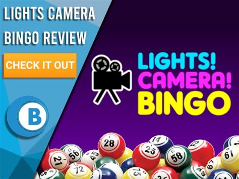 lights camera action bingo