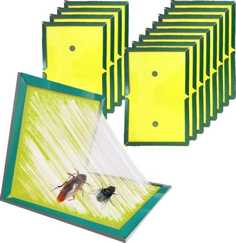 lijmplaat voor muizen