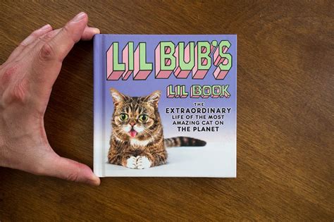 lil bub s lil book the extraordinary life of the