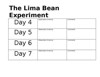 Lima Bean Experiment Recording Sheet
