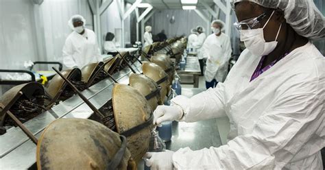 Limulus Amebocyte Lysate