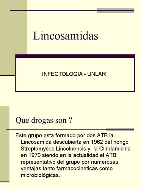 lincosamidas-1
