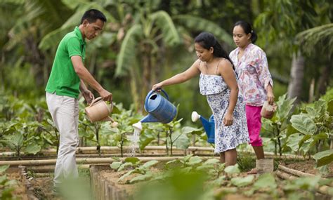 Read Lindsey Williams Gardening For Impoverished Families Young Heroes Kidhaven 