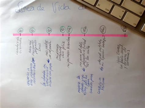 Linea De Vida Ejemplos