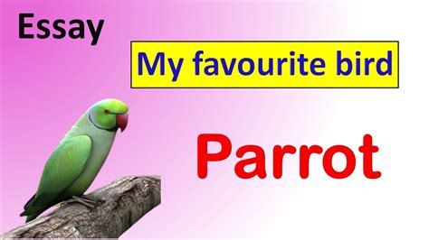 Lines On Parrot My Favorite Bird Speech Easy 10 Lines On My Pet Parrot - 10 Lines On My Pet Parrot