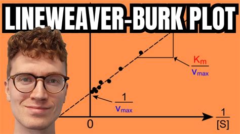 Lineweaver Burk Plot