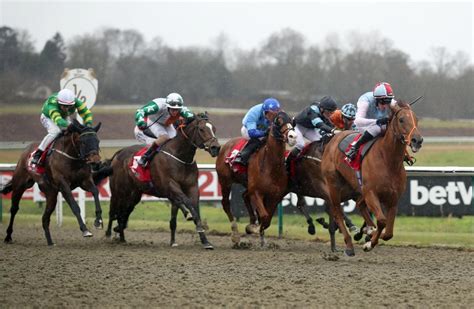 lingfield races on tv today